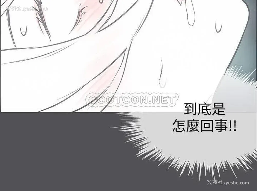 15P - 纵夏夜之梦