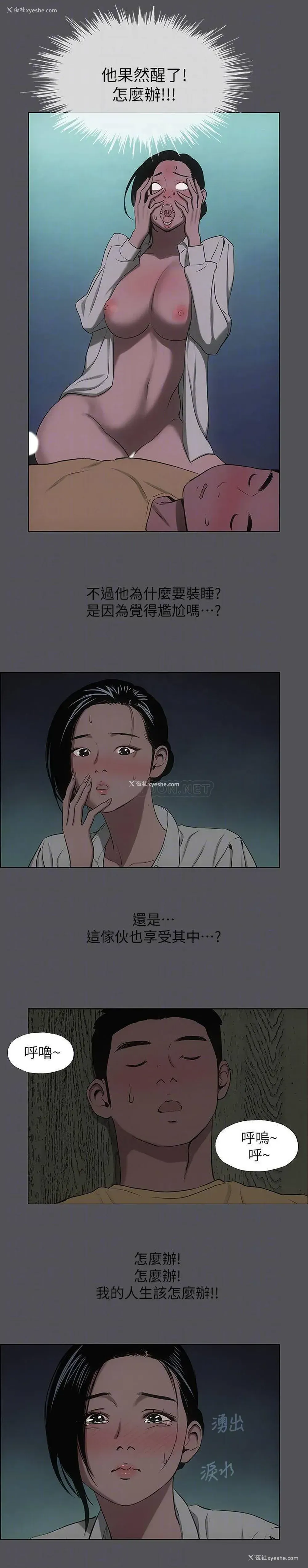 5P - 纵夏夜之梦