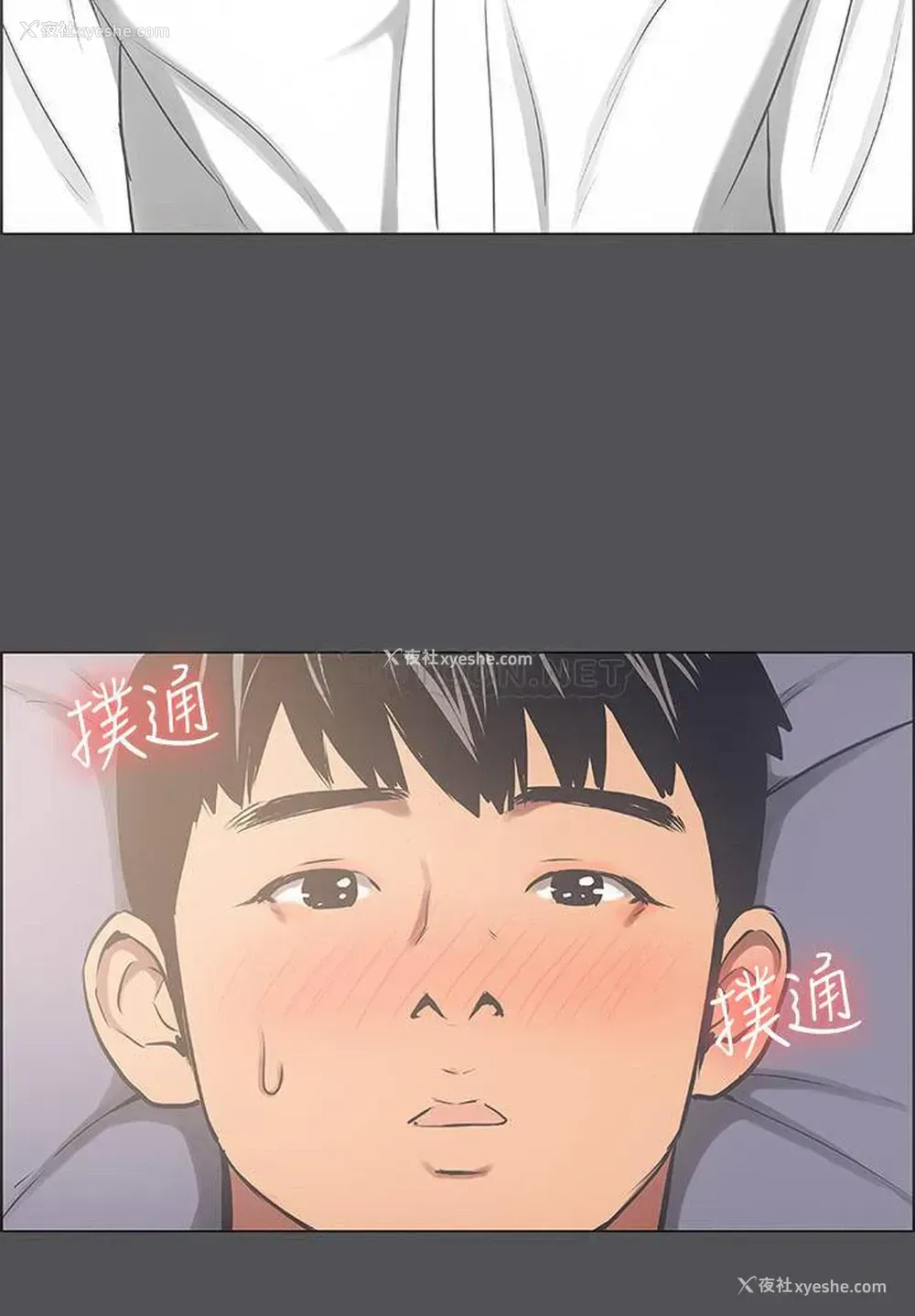 23P - 纵夏夜之梦