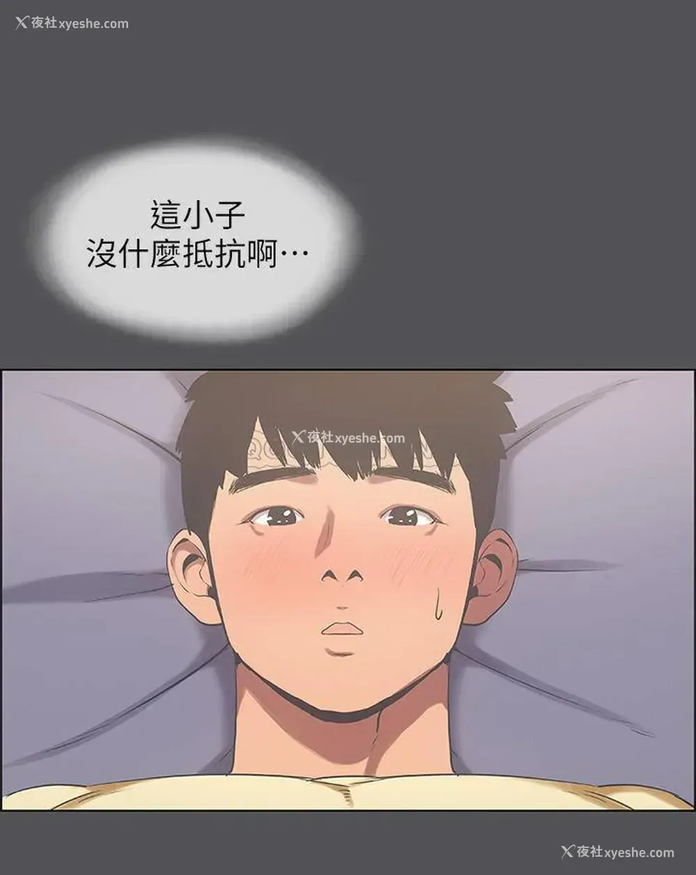 8P - 纵夏夜之梦
