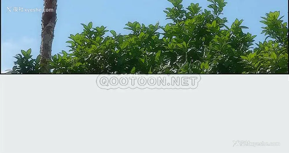 5P - 纵夏夜之梦