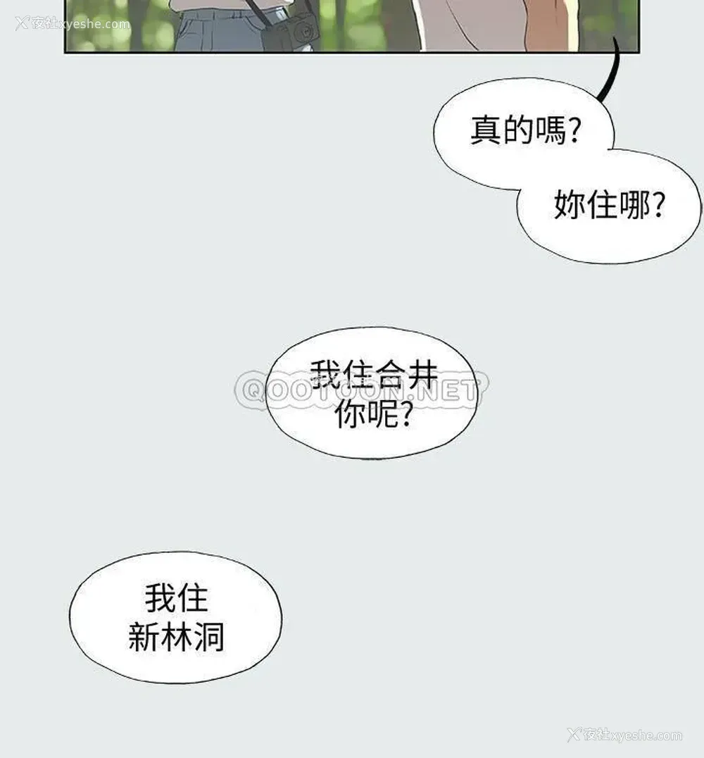 13P - 纵夏夜之梦