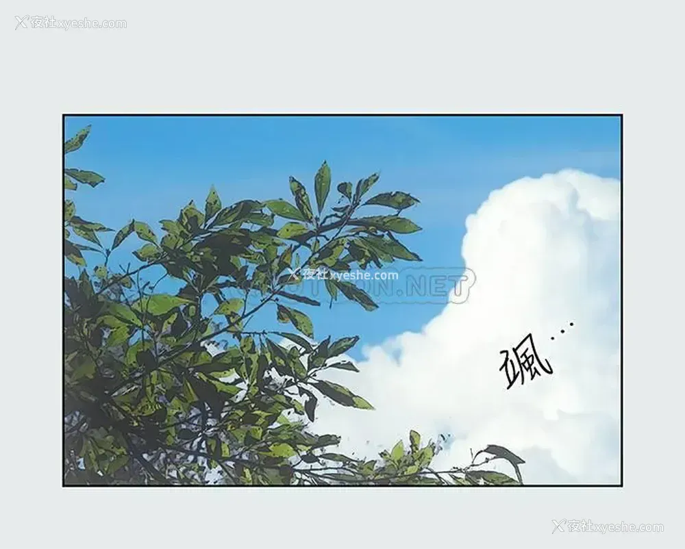 25P - 纵夏夜之梦