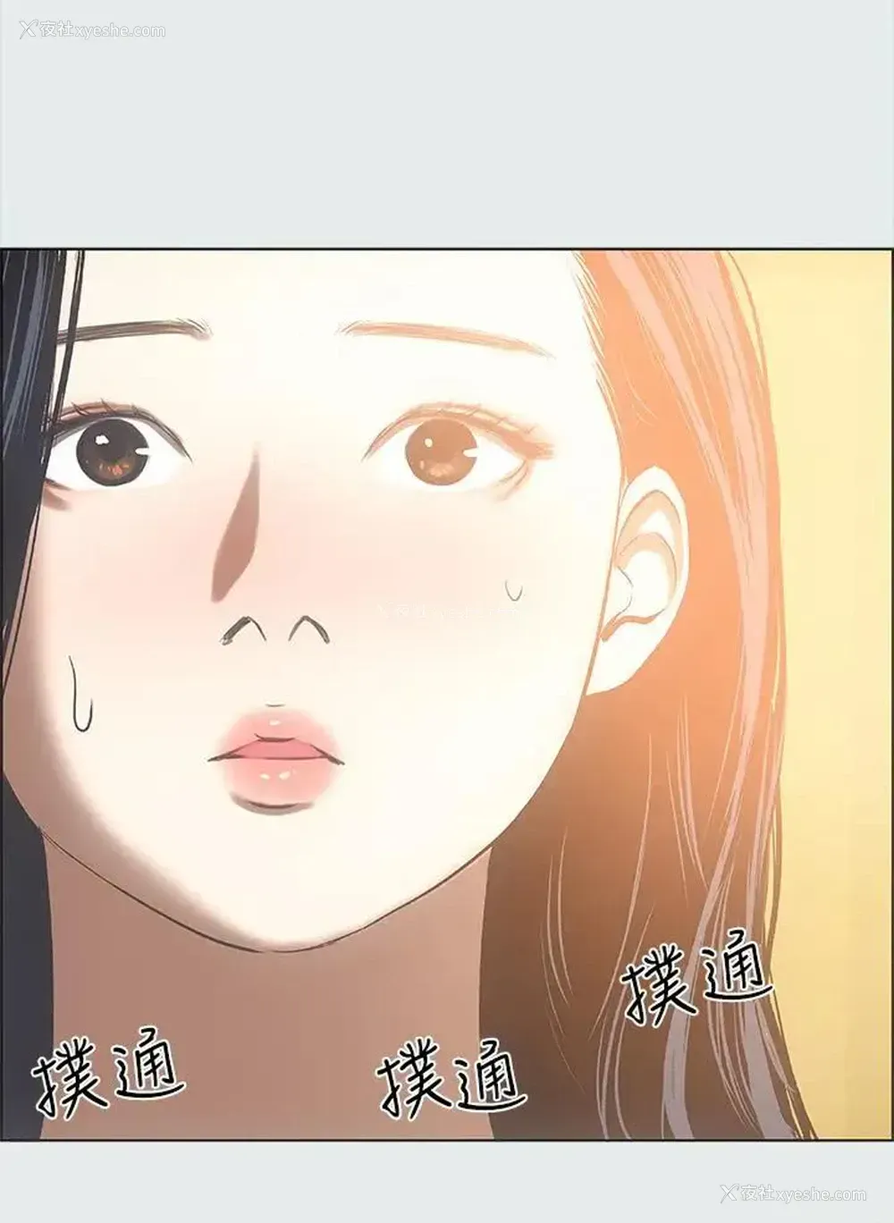 24P - 纵夏夜之梦