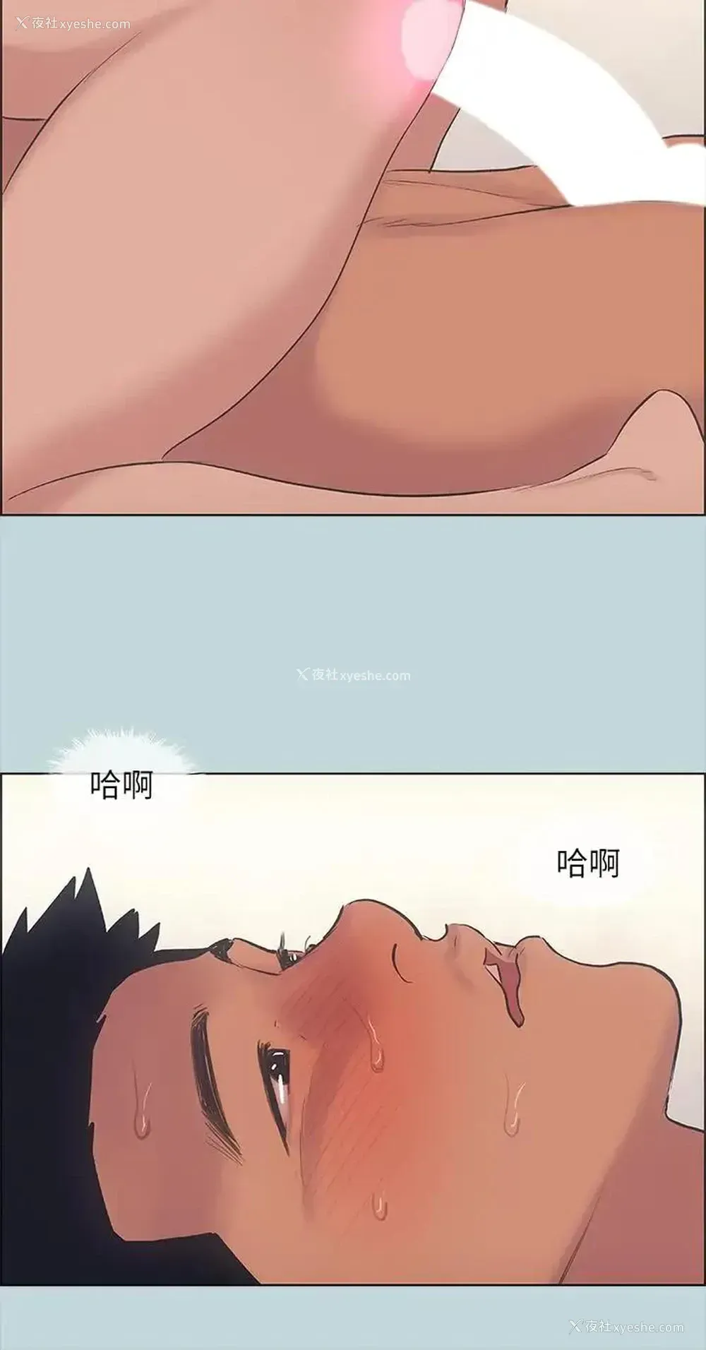 29P - 纵夏夜之梦