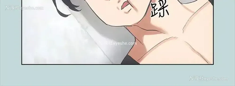 28P - 纵夏夜之梦