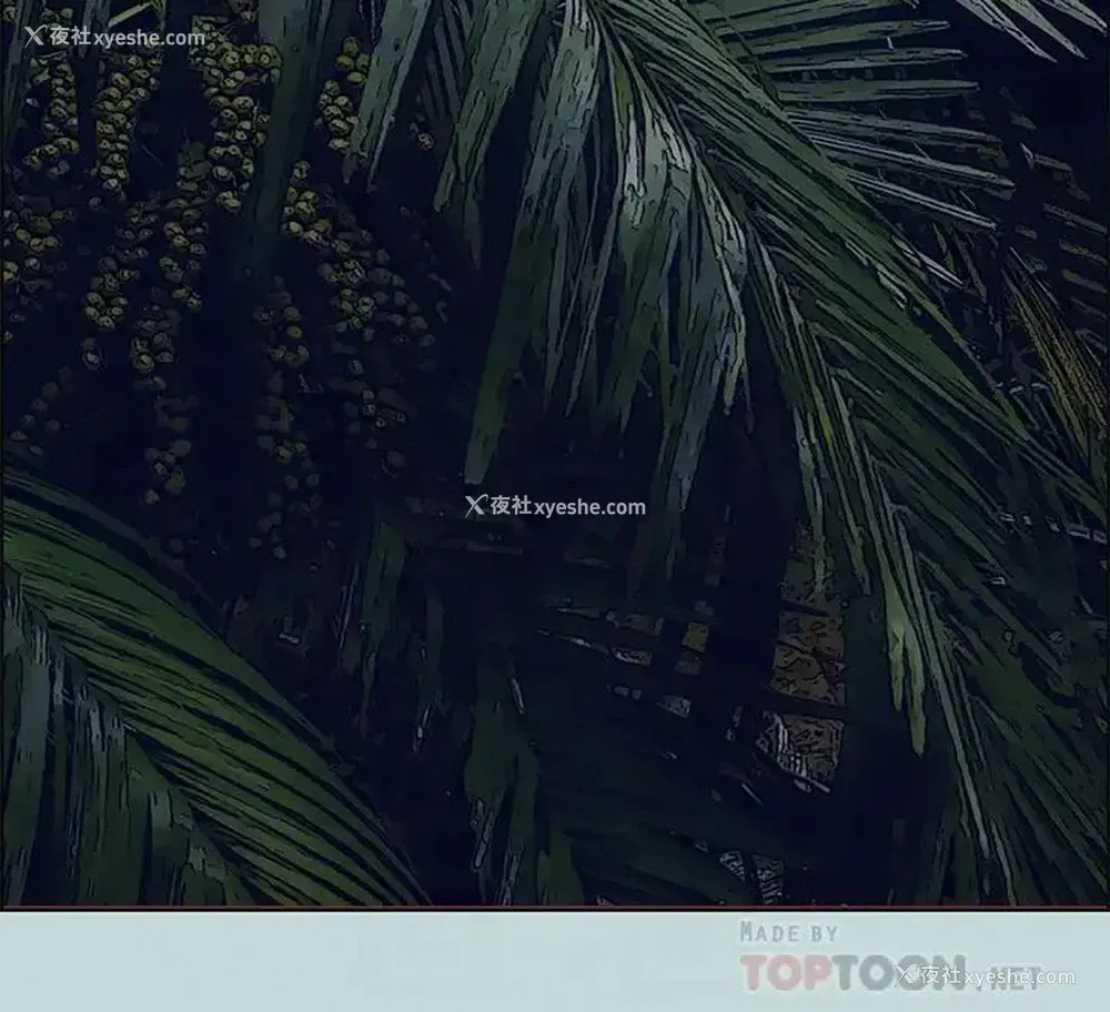 6P - 纵夏夜之梦