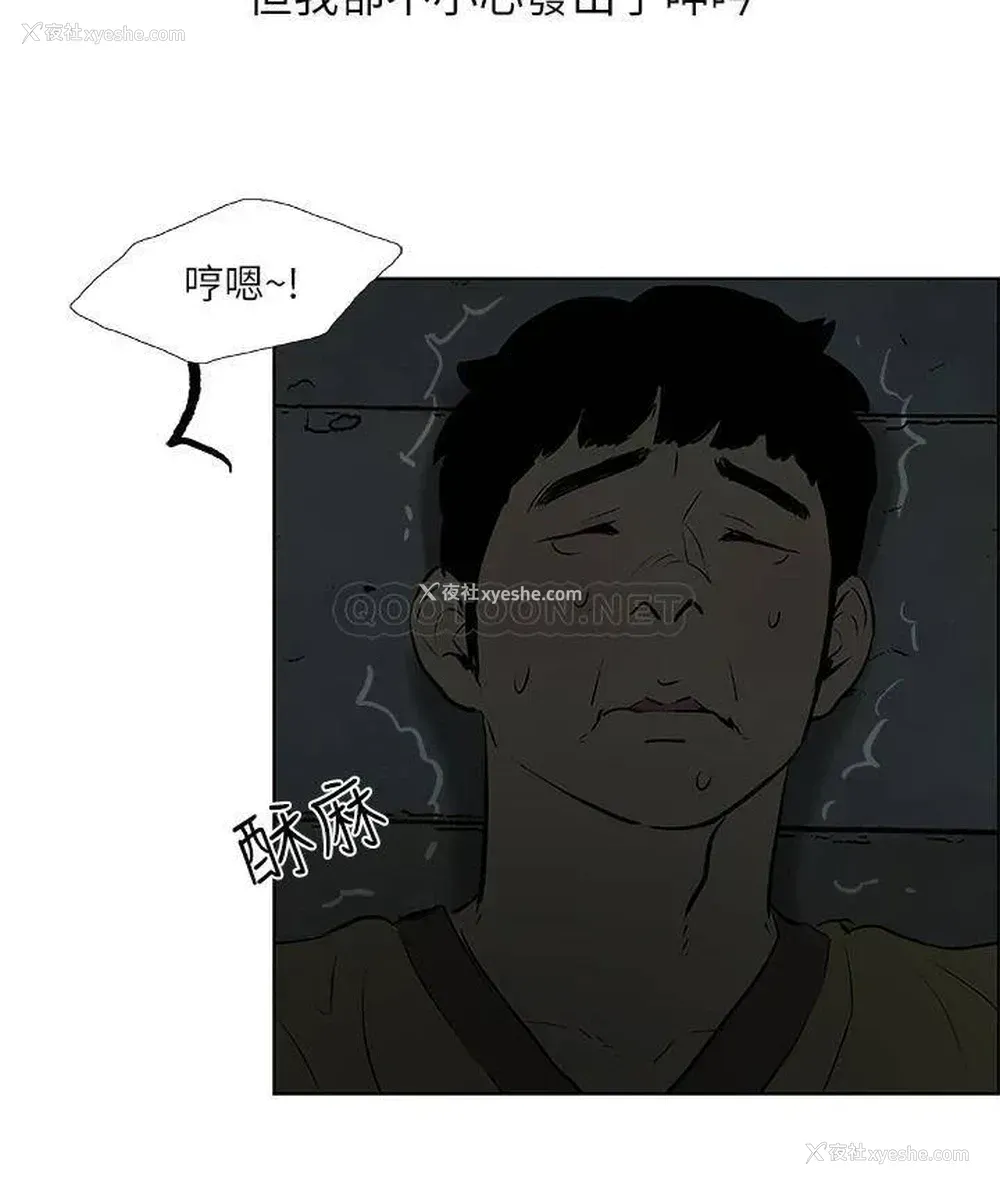20P - 纵夏夜之梦