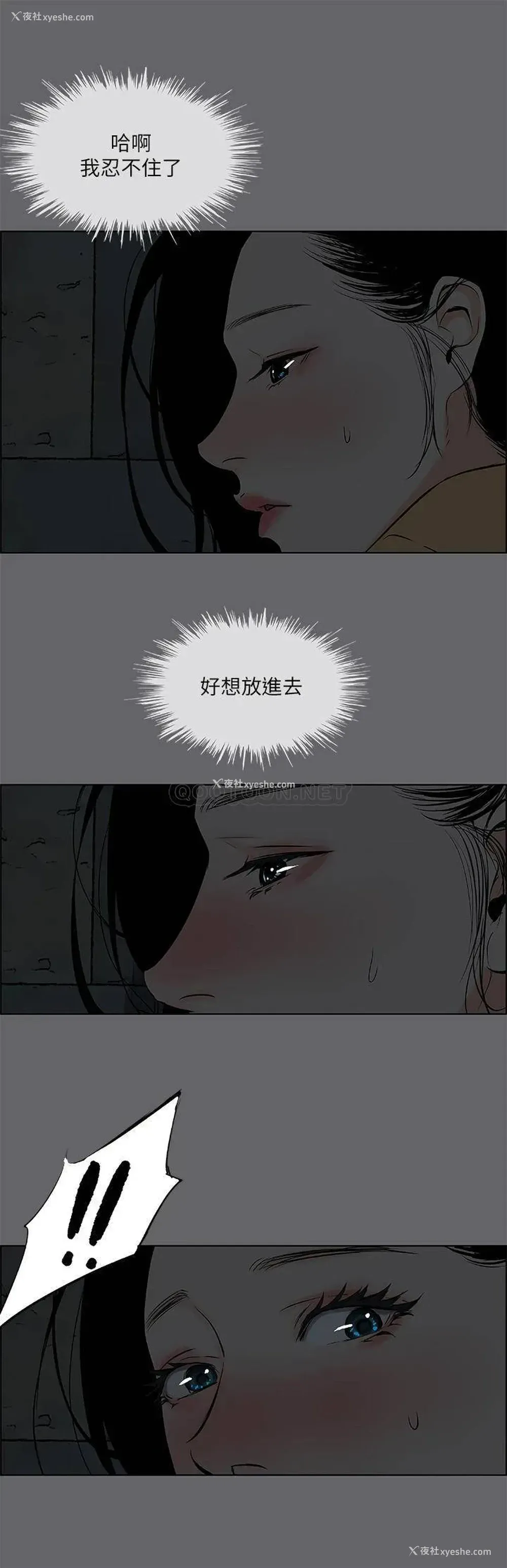 31P - 纵夏夜之梦