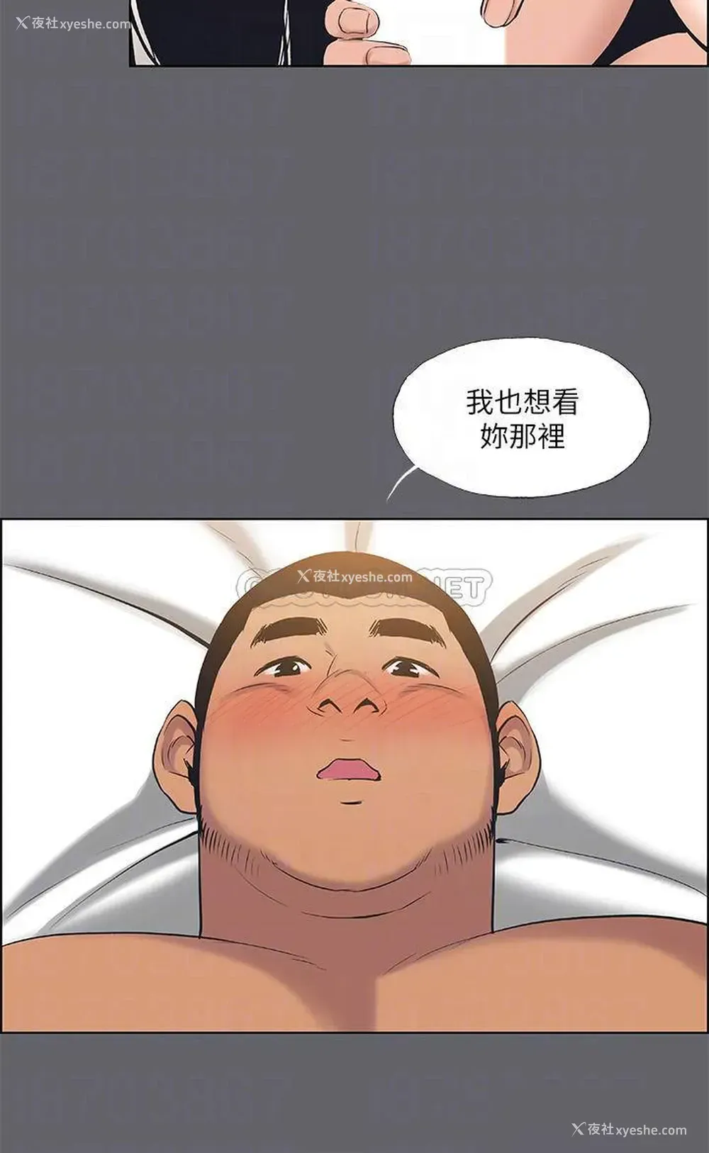 16P - 纵夏夜之梦