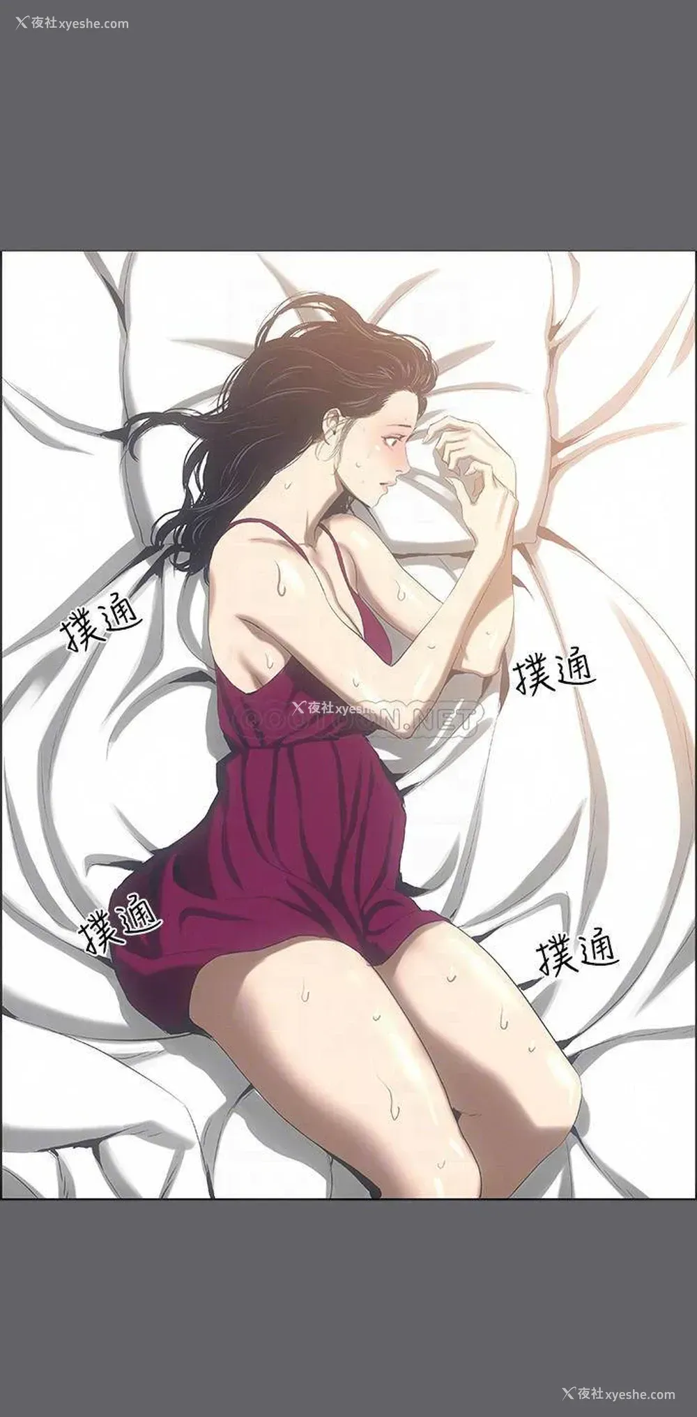 4P - 纵夏夜之梦
