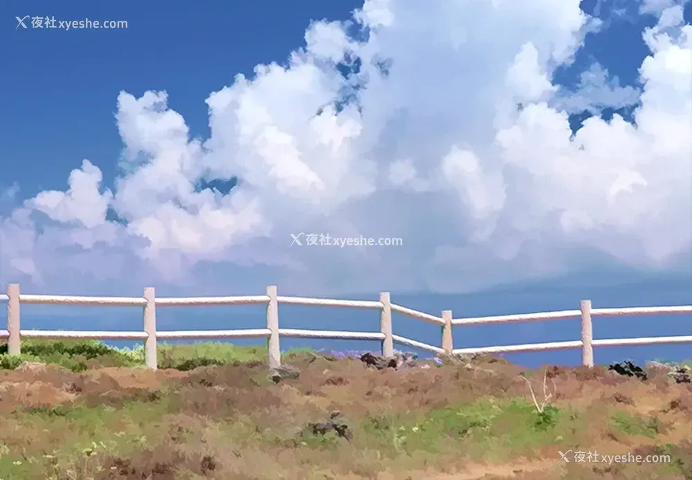 14P - 纵夏夜之梦