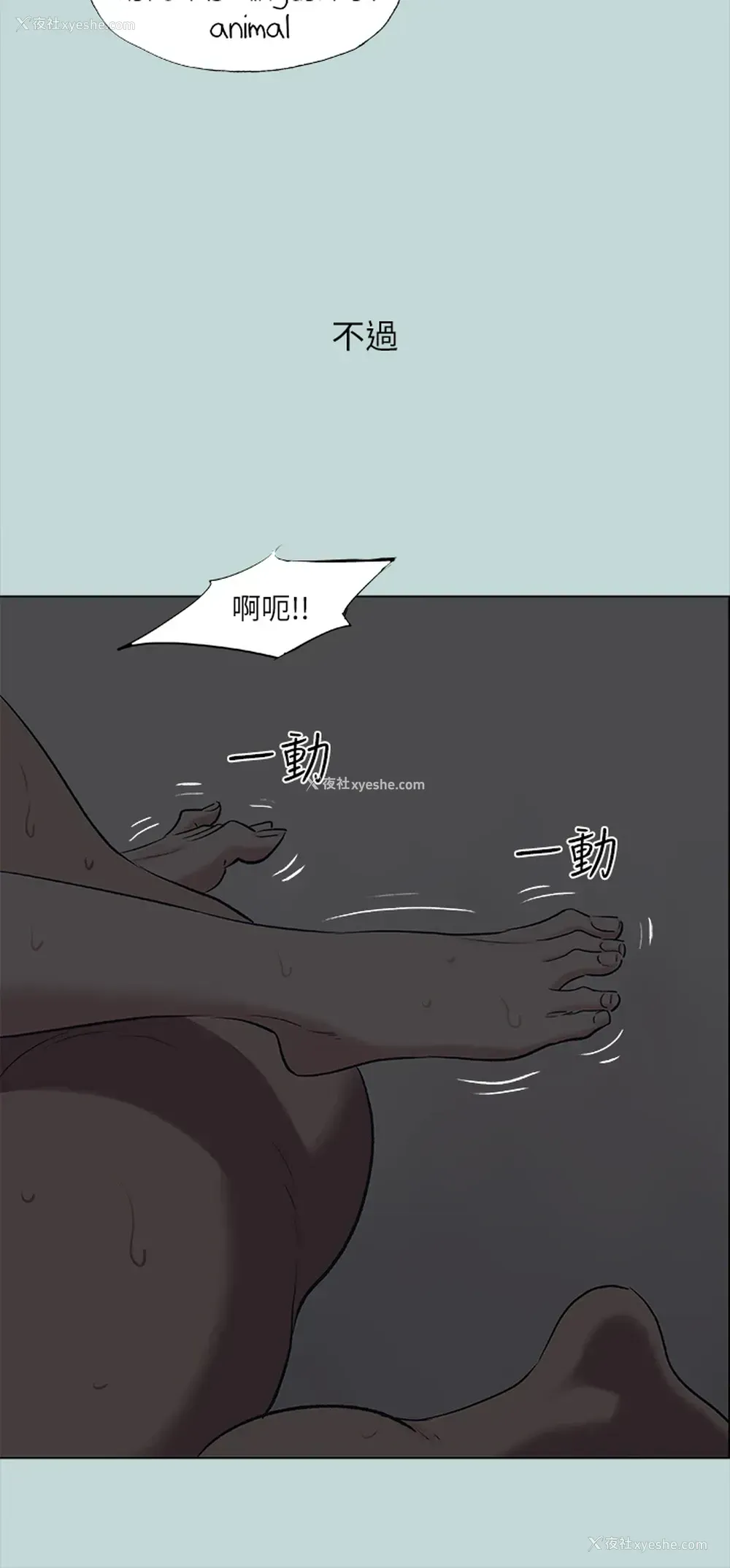 8P - 纵夏夜之梦