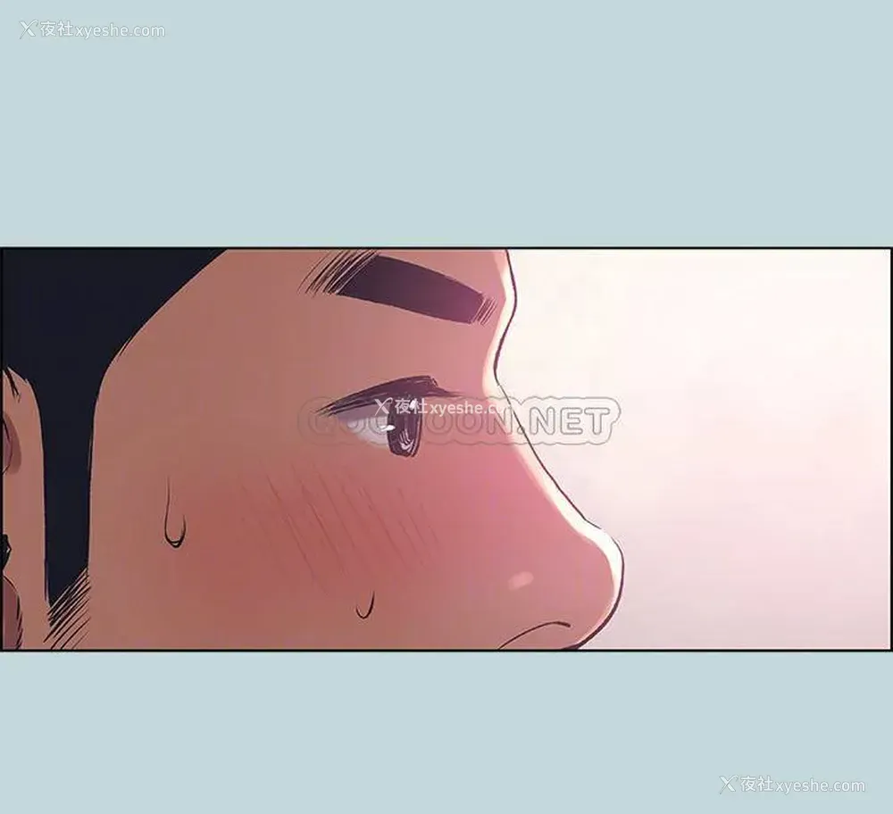 16P - 纵夏夜之梦