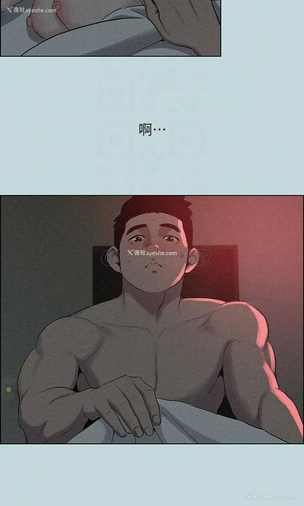 8P - 纵夏夜之梦