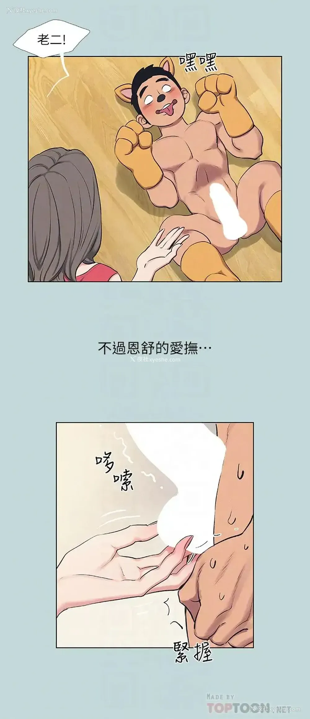18P - 纵夏夜之梦