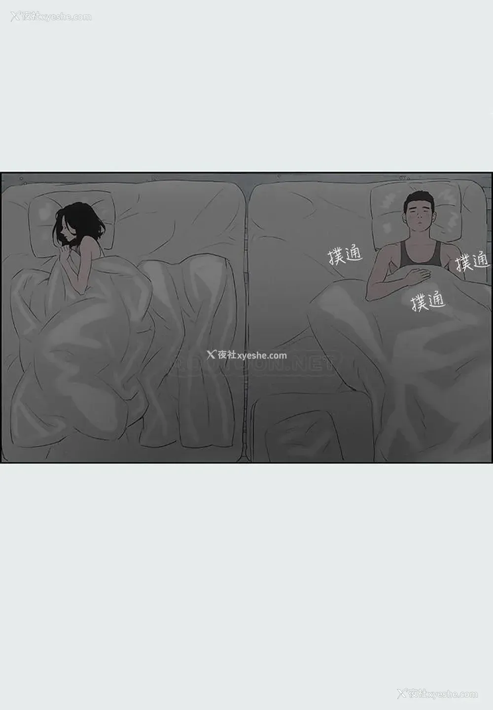 21P - 纵夏夜之梦