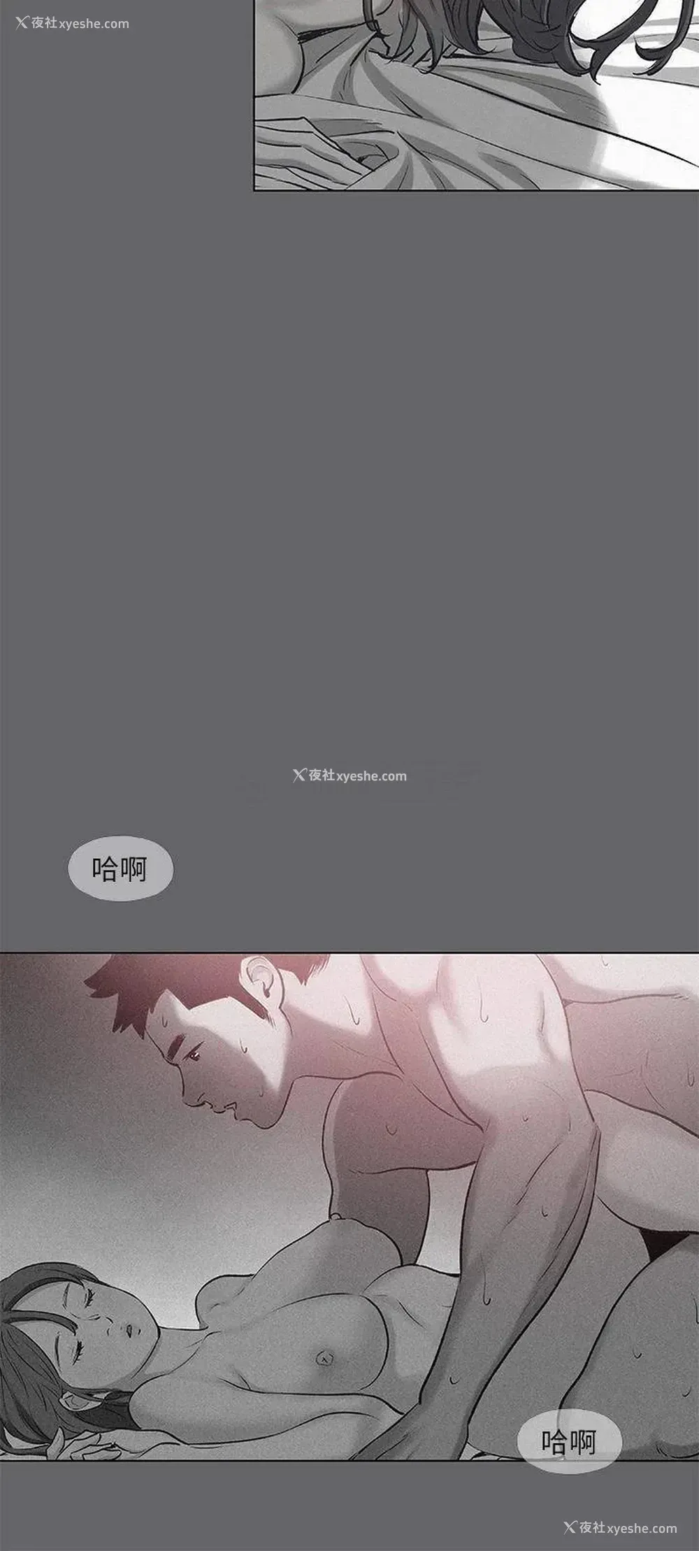 28P - 纵夏夜之梦