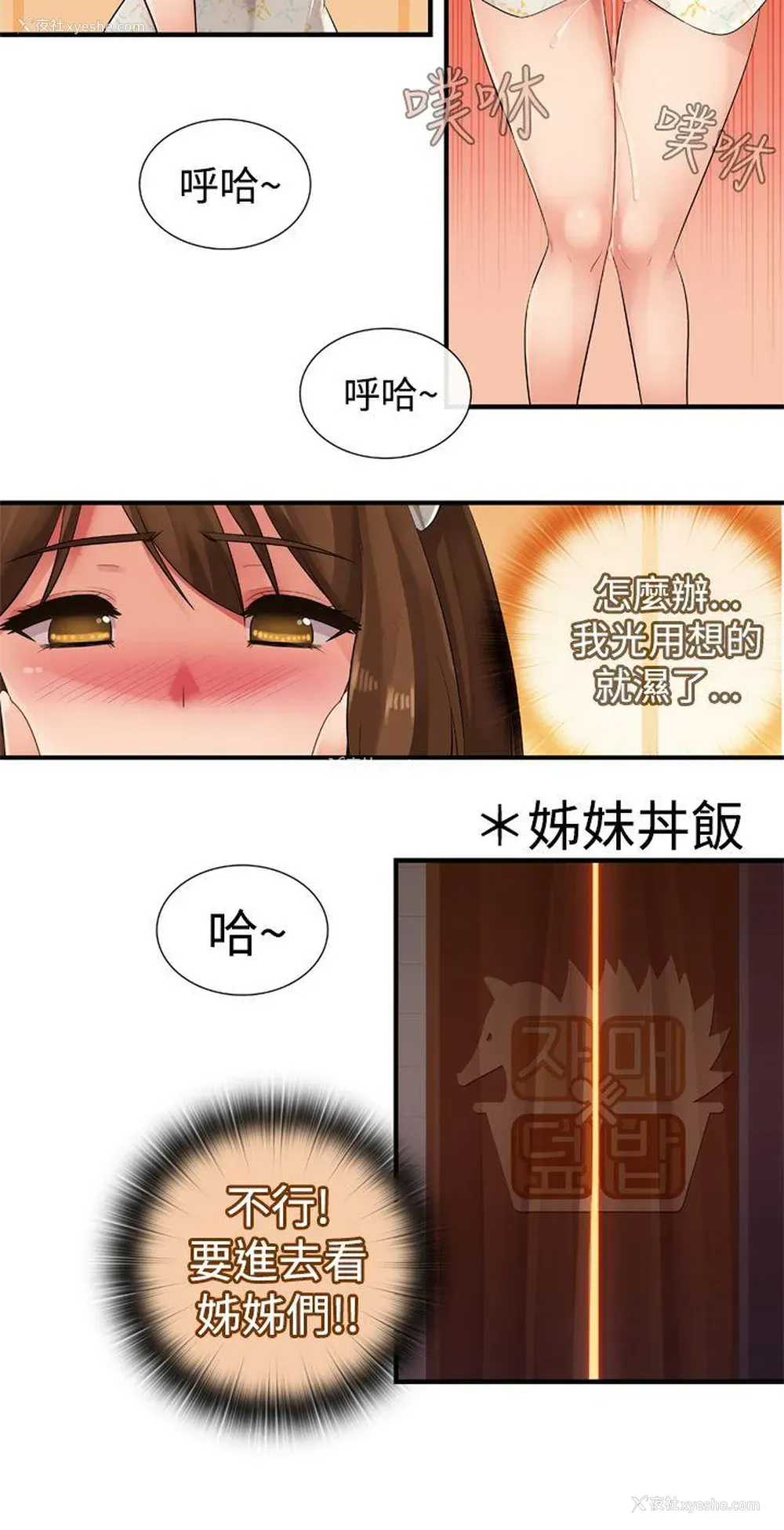 6P - 姊妹丼饭
