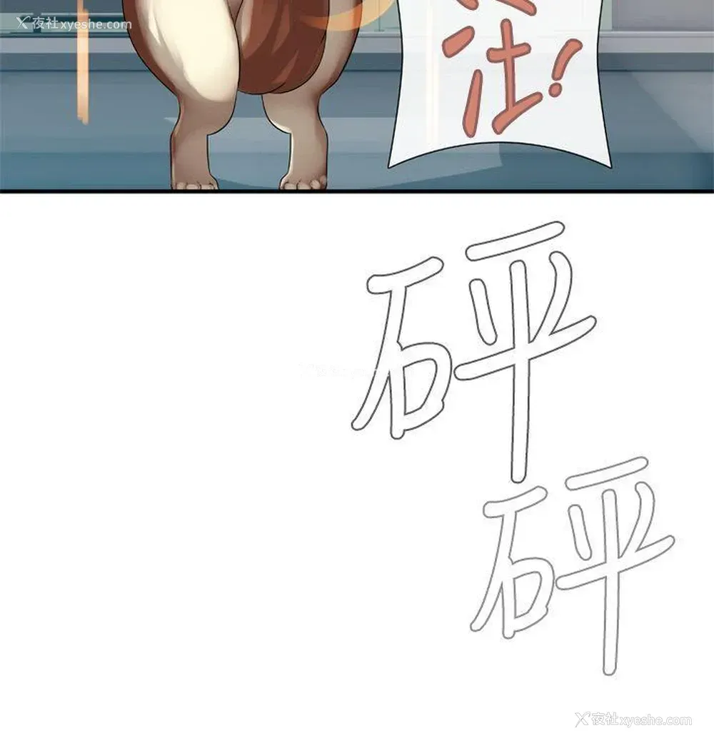 11P - 姊妹丼饭