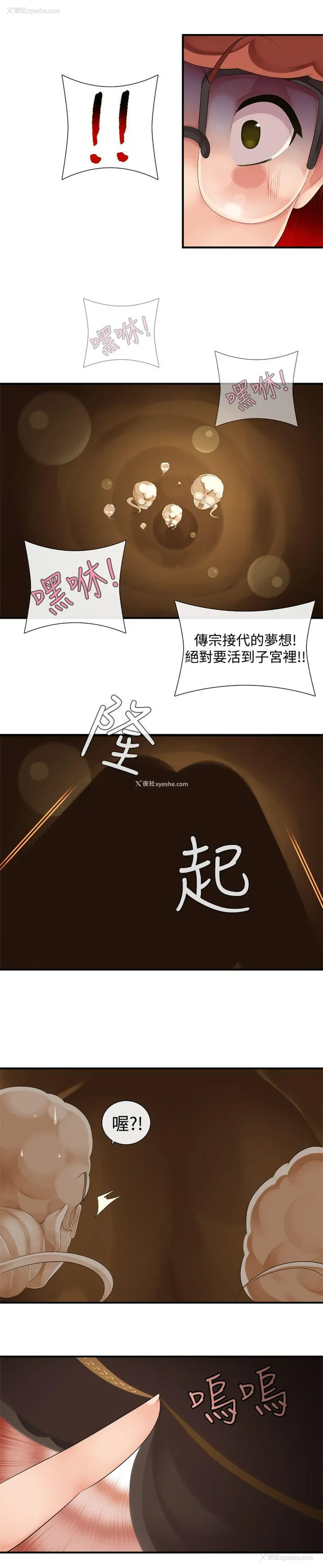11P - 姊妹丼饭