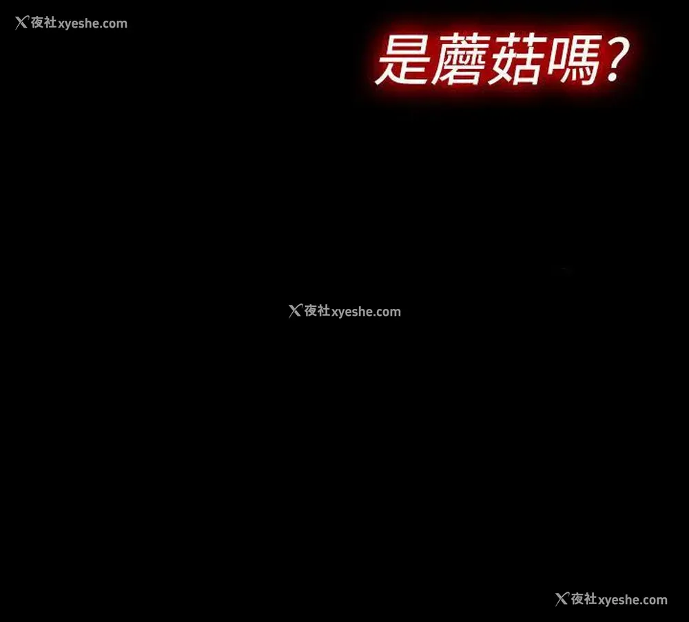17P - 姊妹丼饭