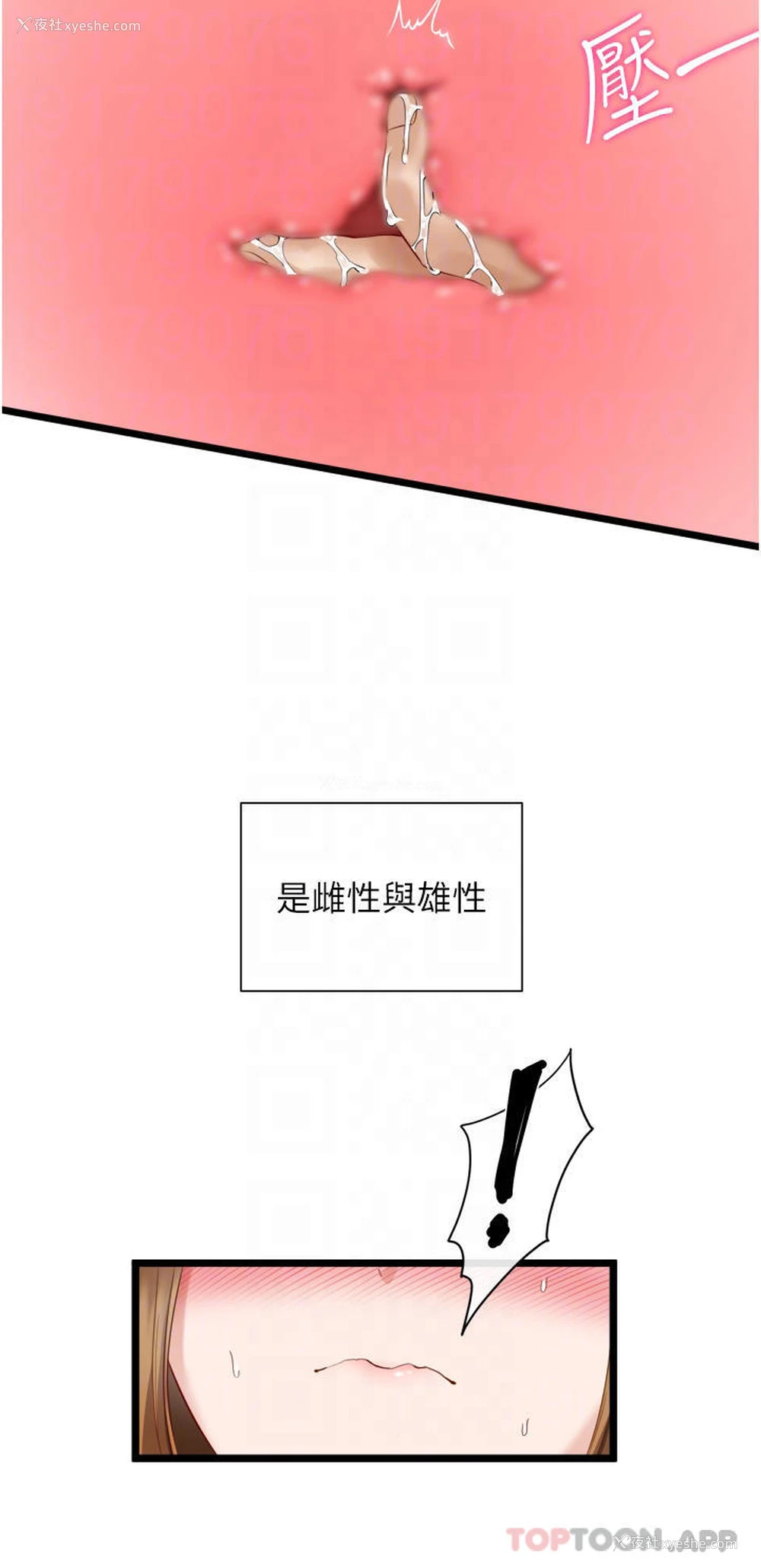 12P - 脱单神器