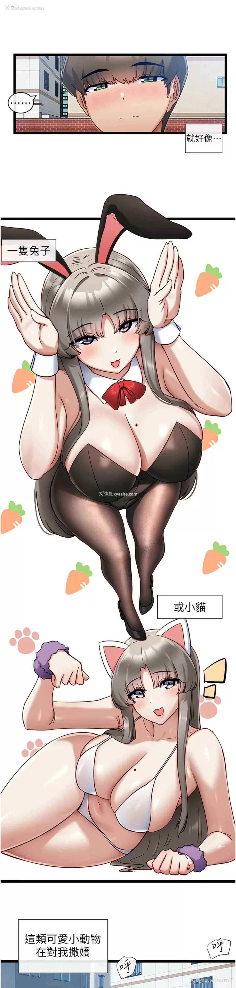 13P - 脱单神器