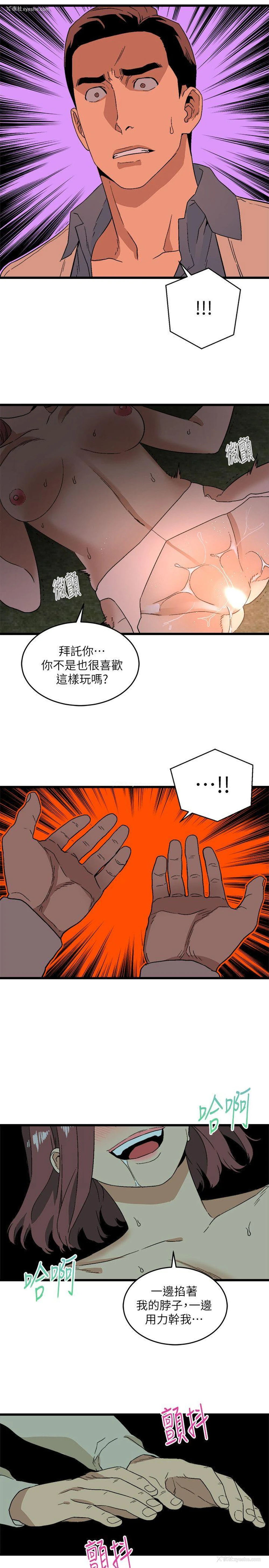 19P - 食物链