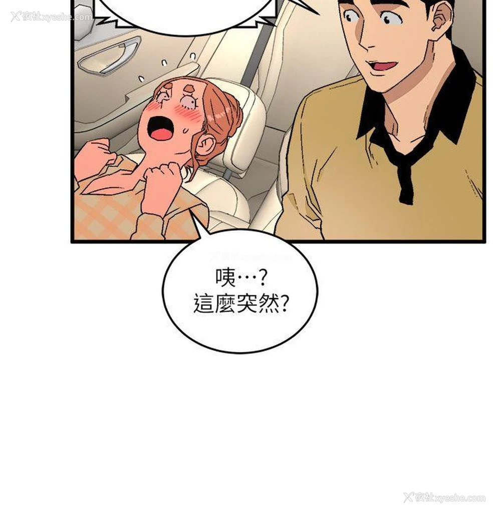 16P - 食物链