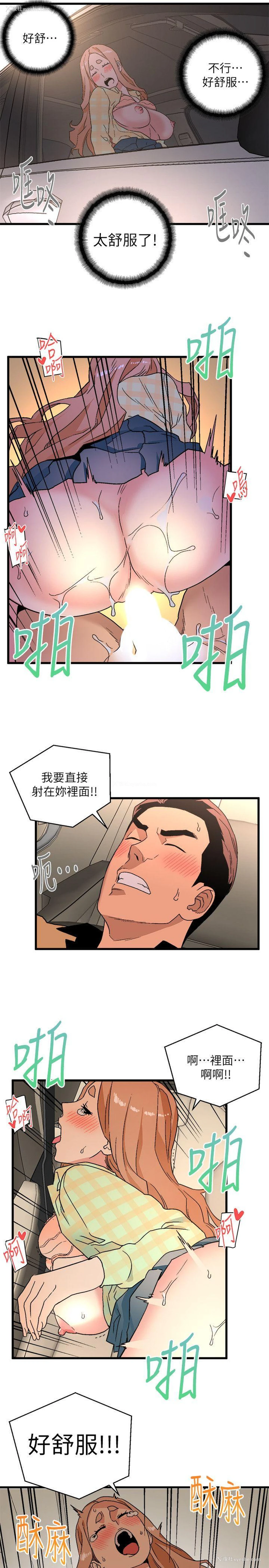 15P - 食物链