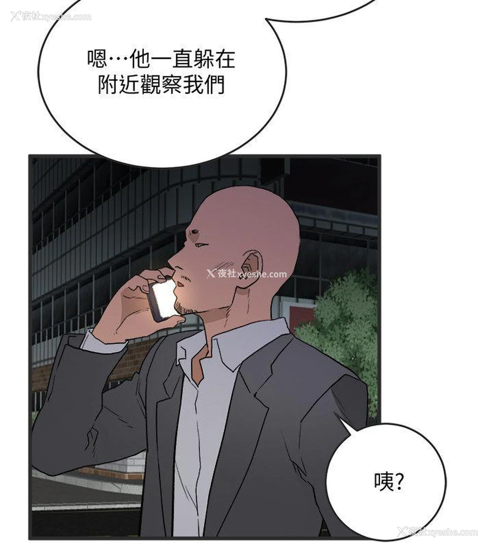 17P - 食物链