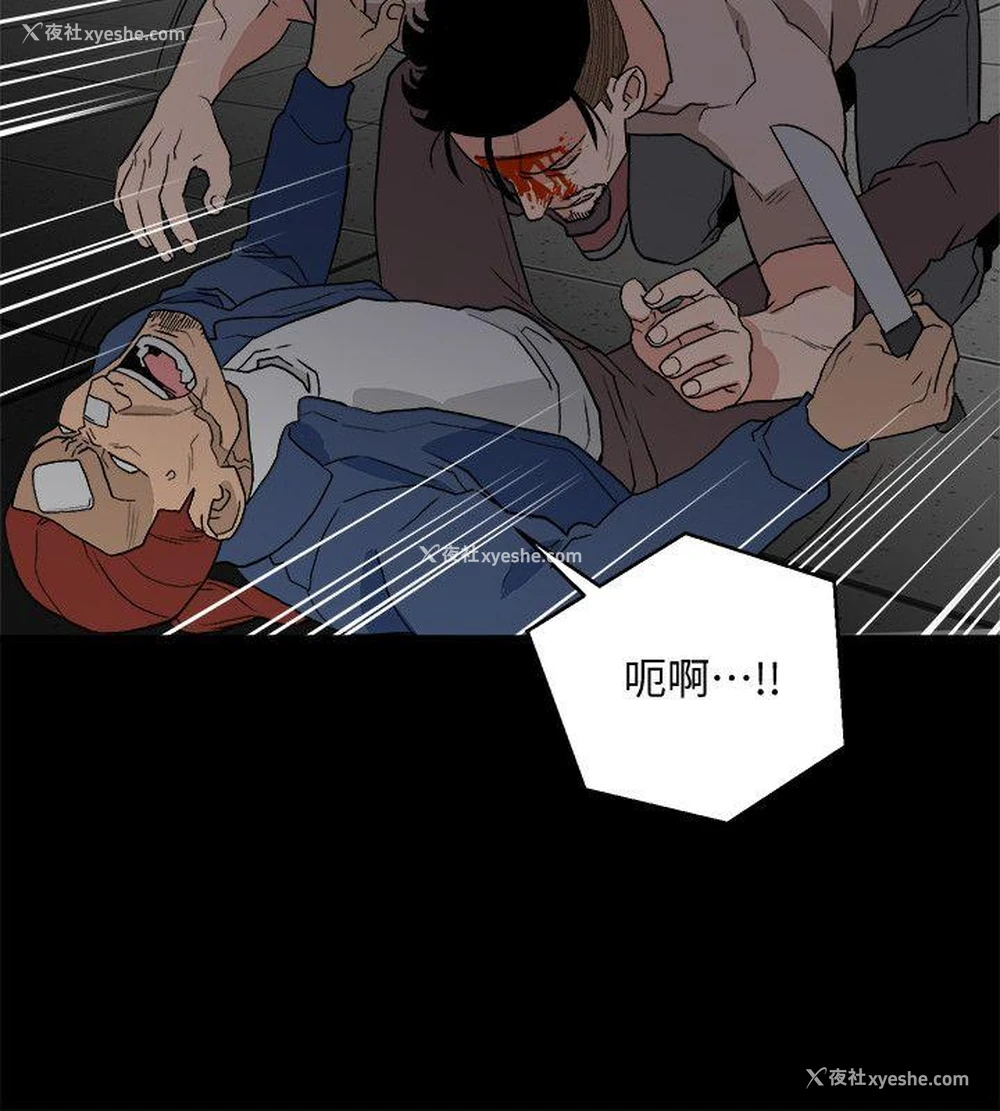 10P - 食物链