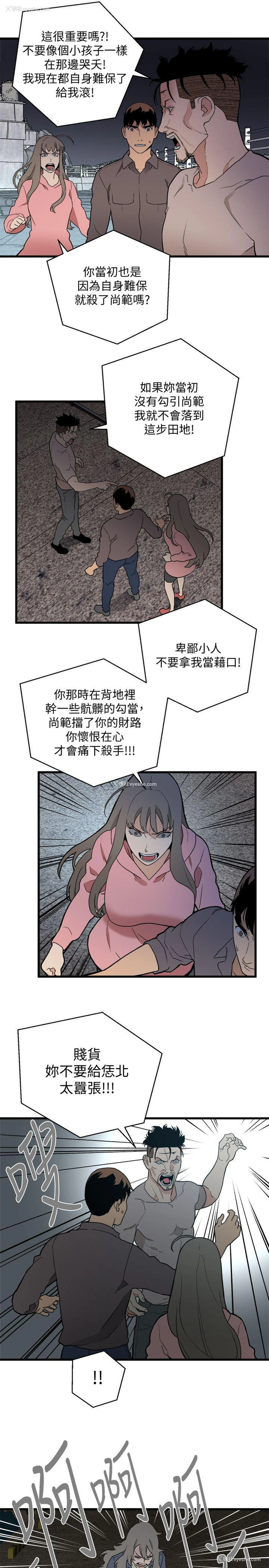 11P - 食物链