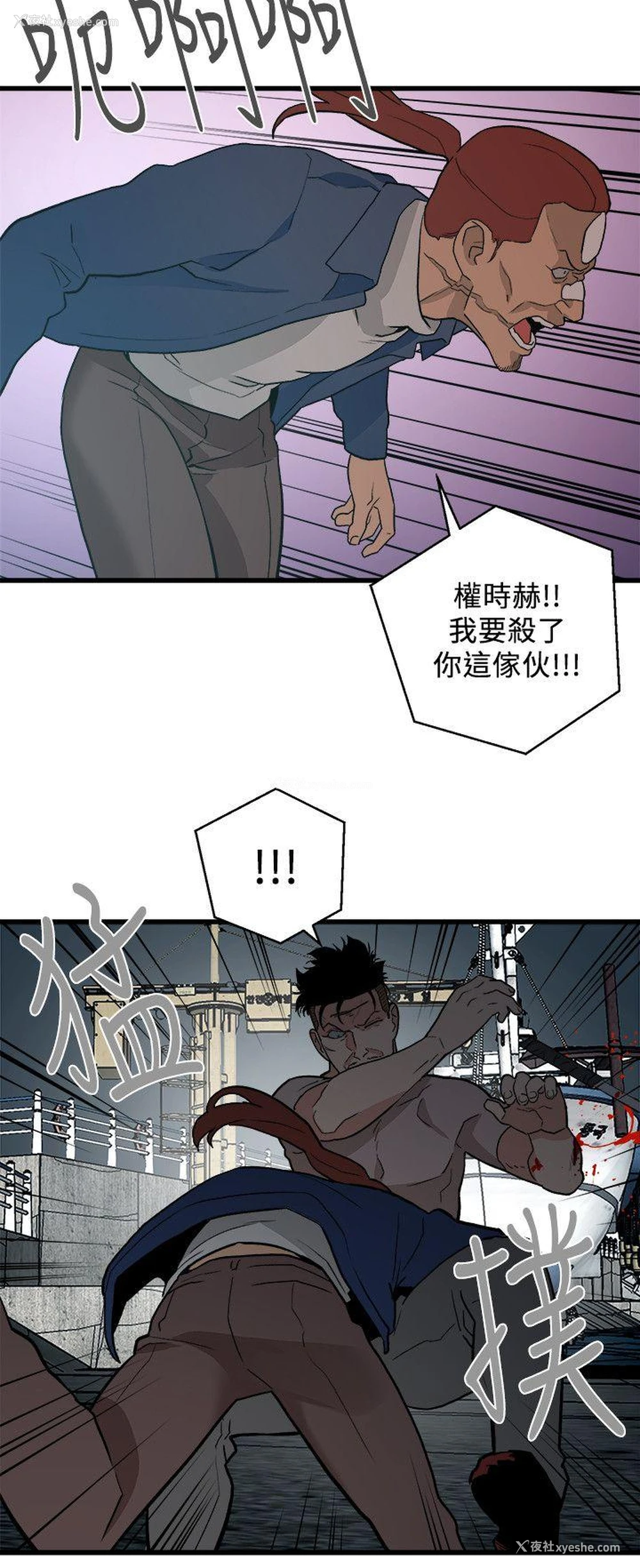 16P - 食物链