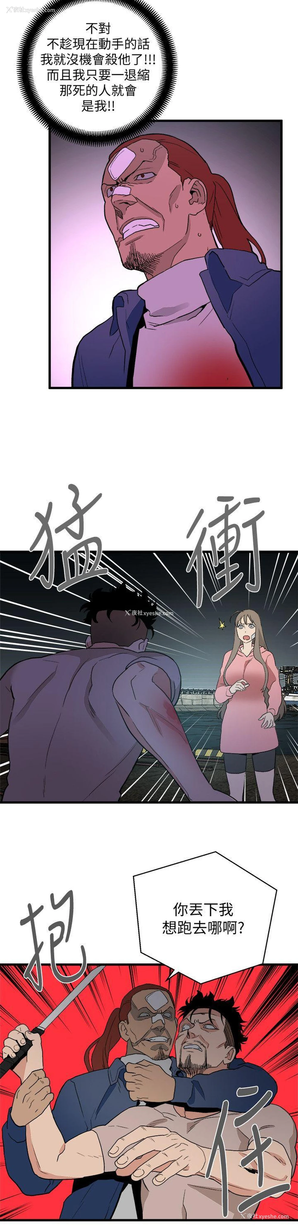 16P - 食物链