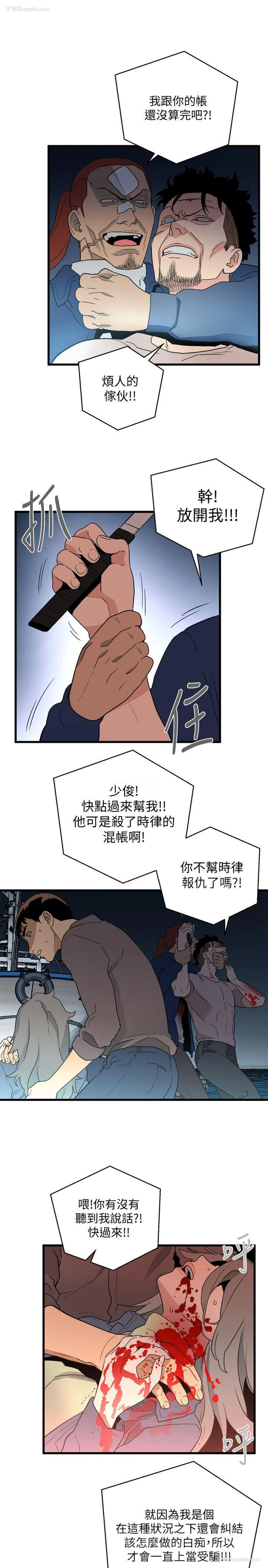 17P - 食物链