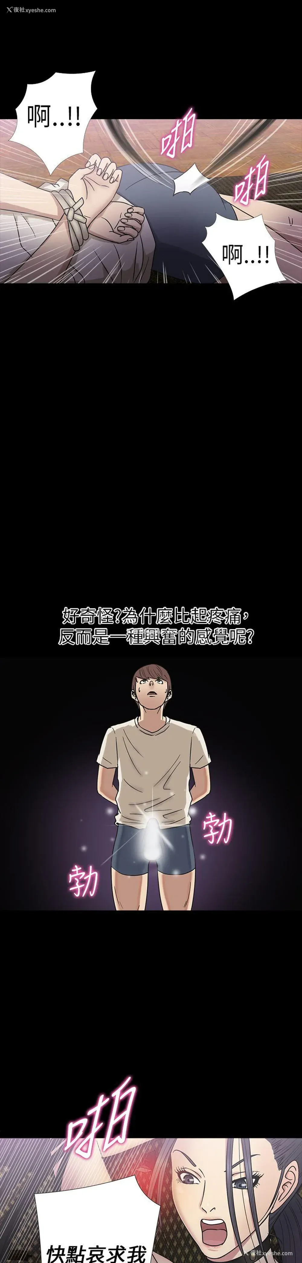7P - 神秘贝壳岛