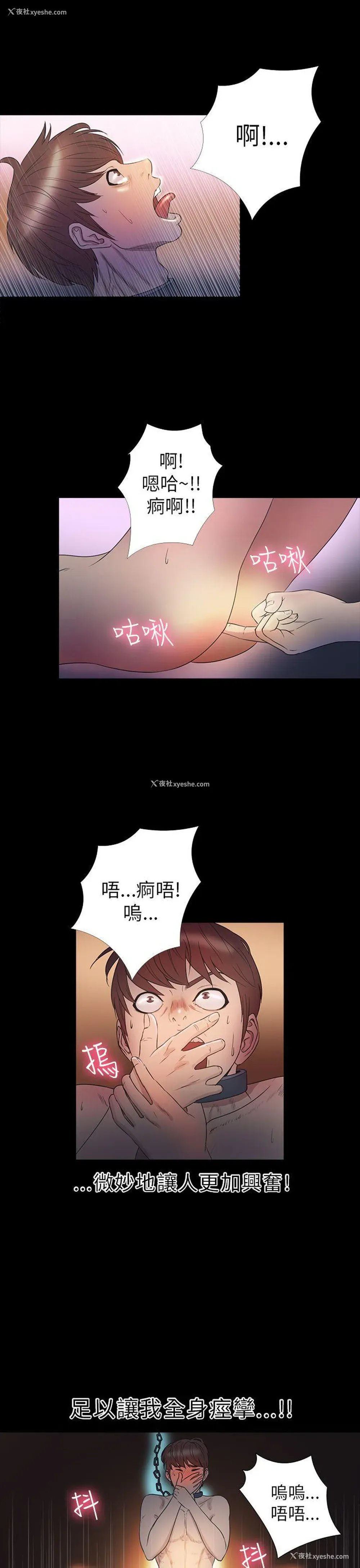 11P - 神秘贝壳岛