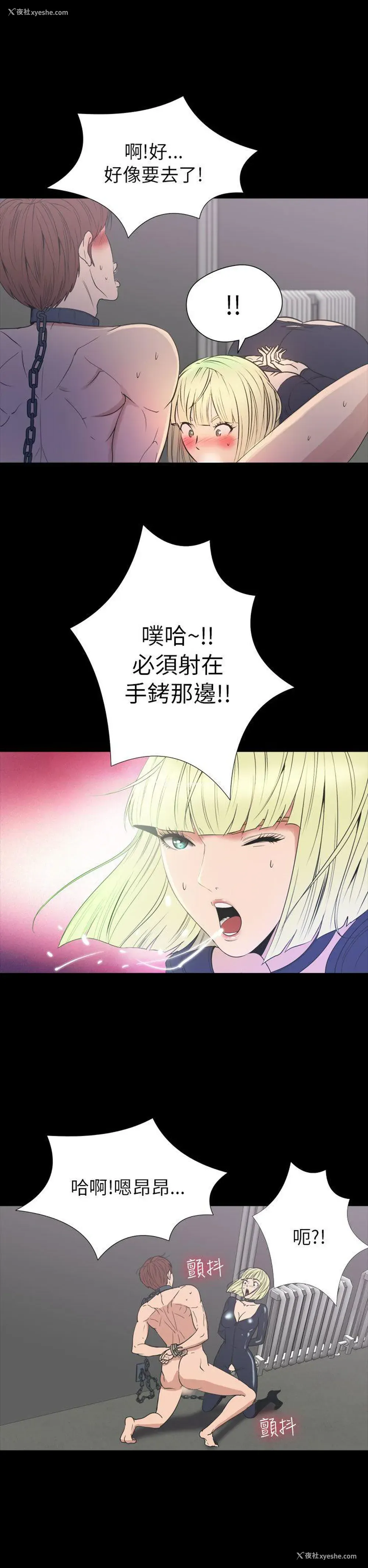 12P - 神秘贝壳岛