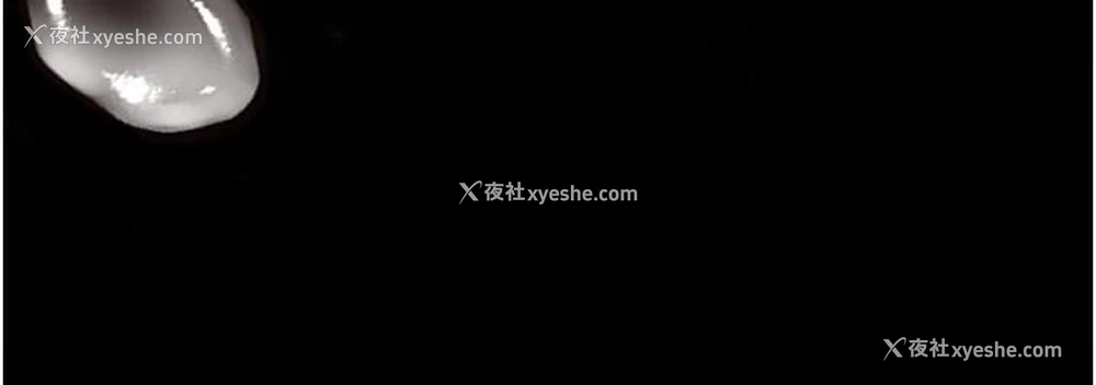 9P - 大学骑遇记
