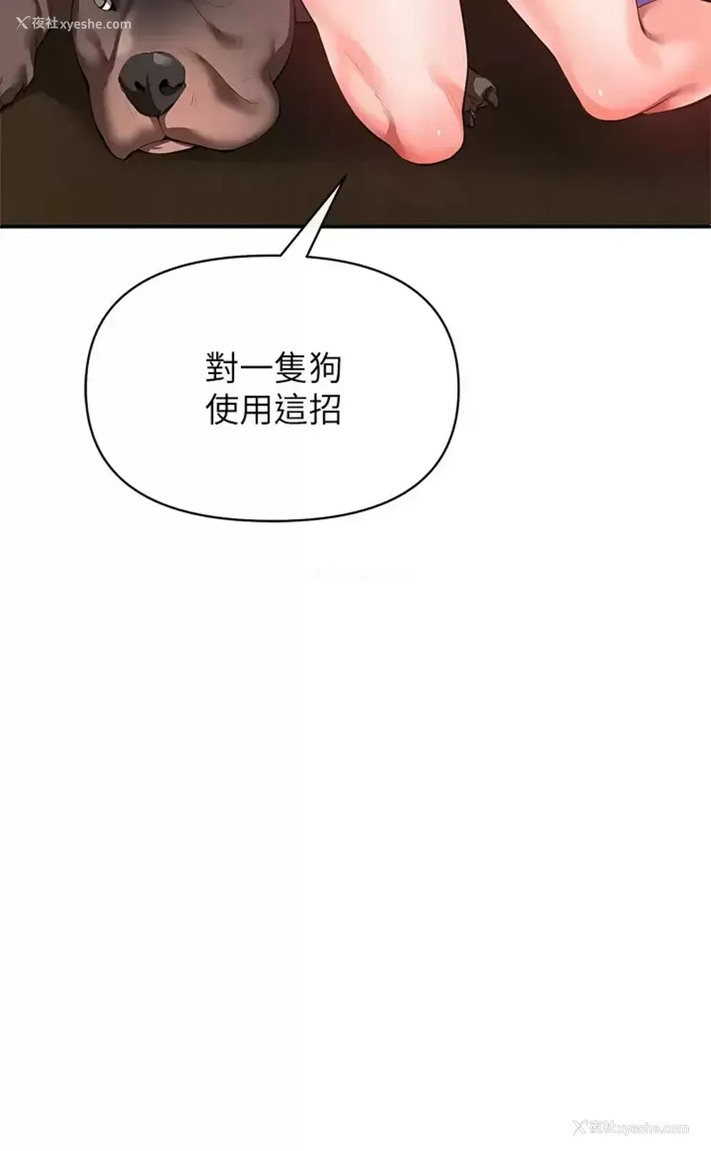 24P - 私刑刺客