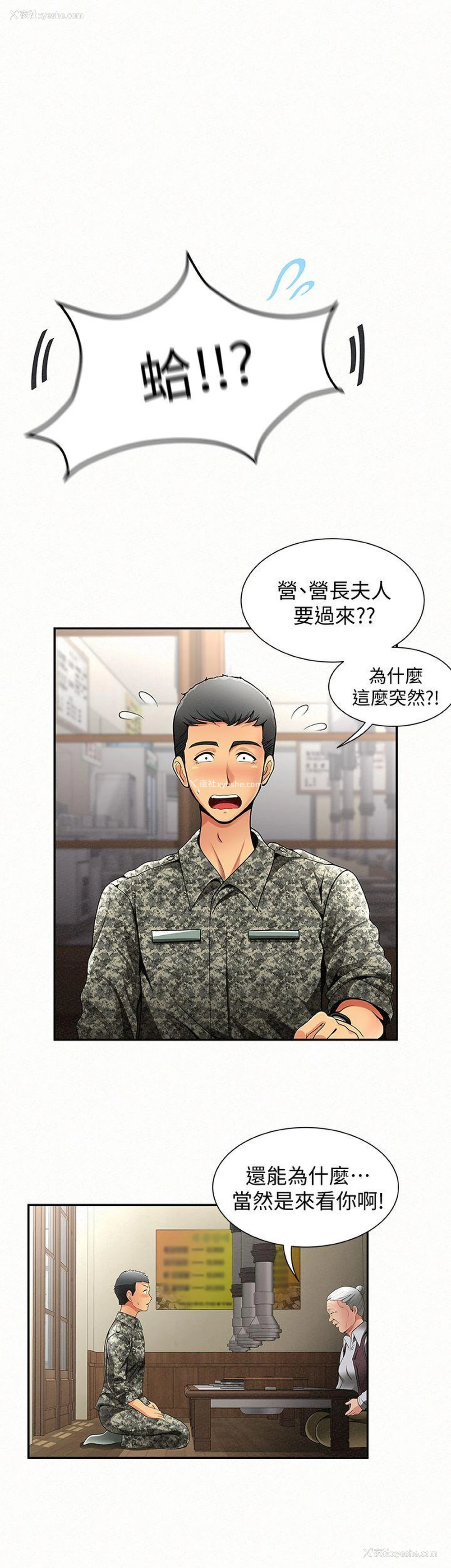 6P - 报告夫人