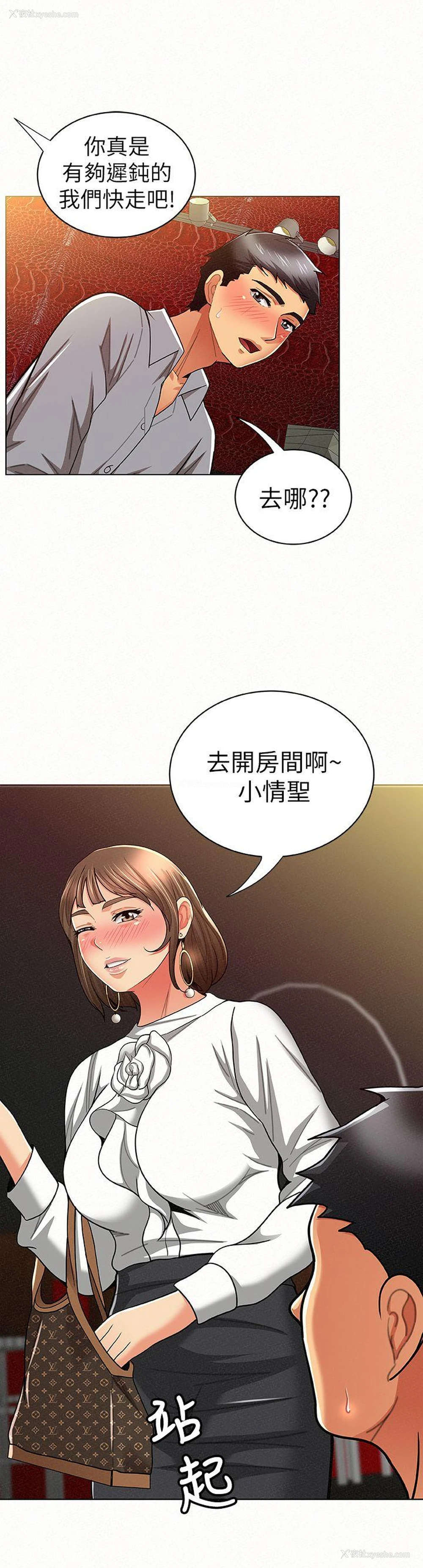 28P - 报告夫人