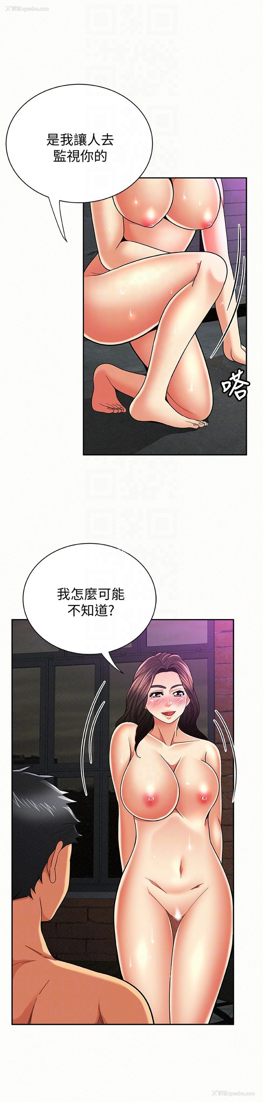 11P - 报告夫人