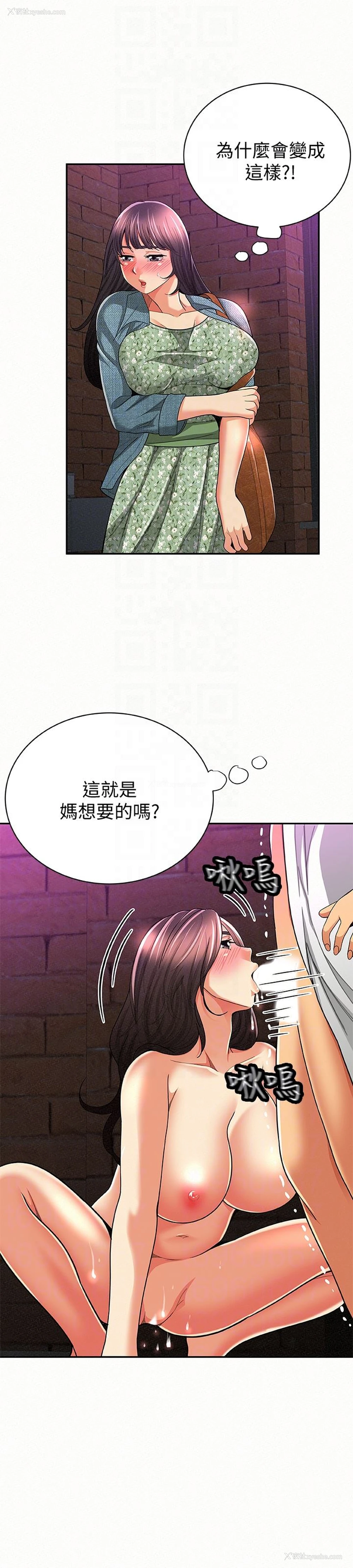 7P - 报告夫人