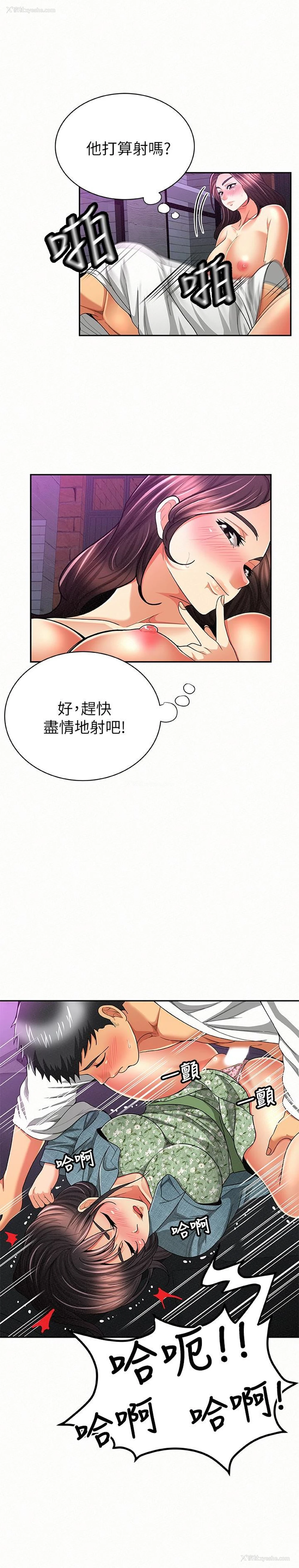 6P - 报告夫人
