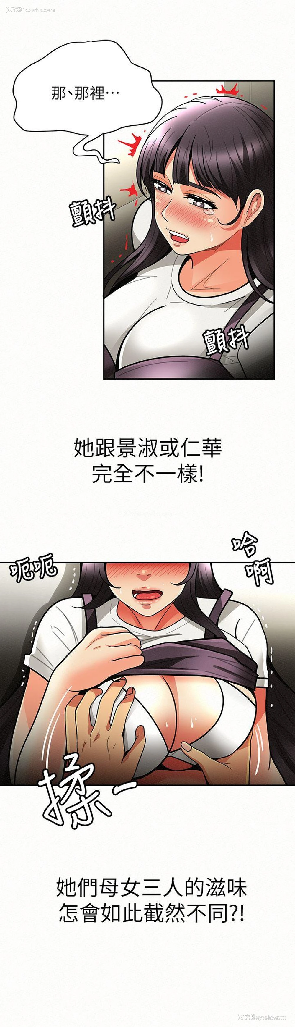 24P - 报告夫人
