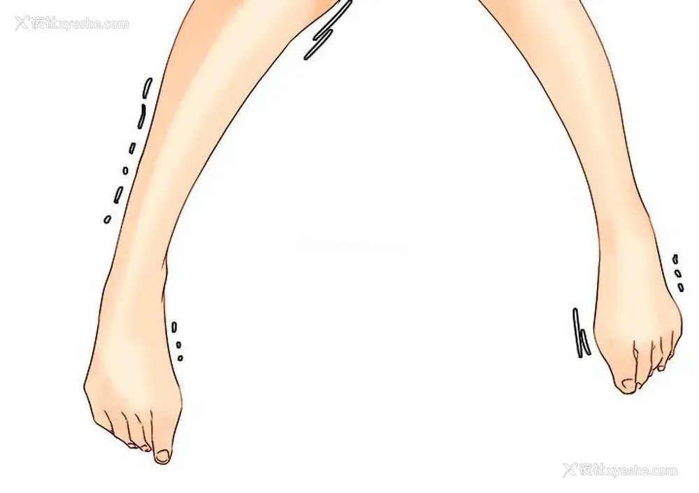 12P - 男人驯兽师
