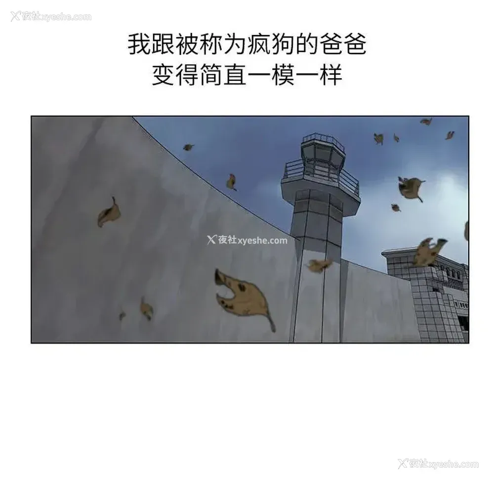 64P - 神之手